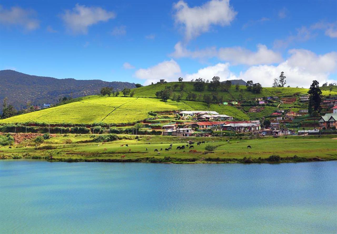 Hill View Bungalow Bed & Breakfast Nuwara Eliya Eksteriør bilde